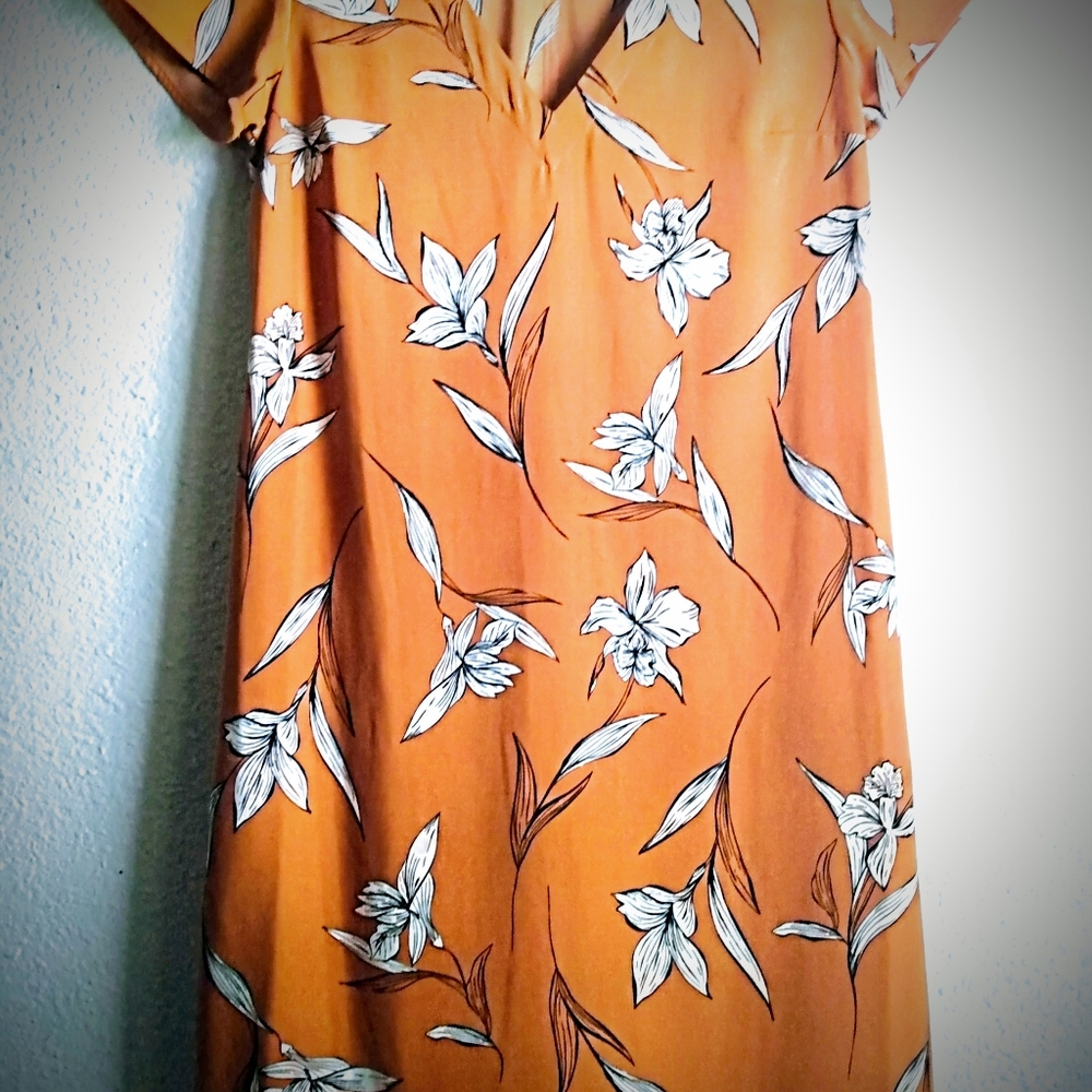 A New Day Shift Dress